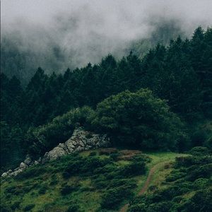 Meet your Posher, Jane